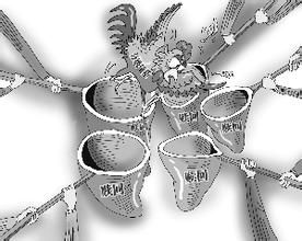 年化收益6%引力强 分级A类网上秒光